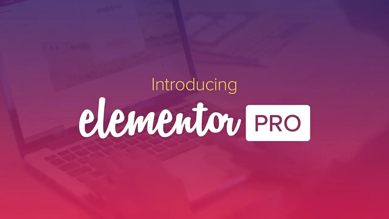 Elementor Pro v3.24.4